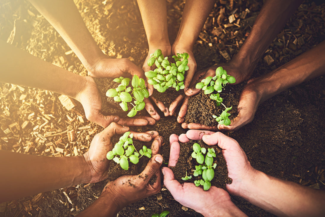 Putting Our Values To Work: What It Means To Be A Sustainable Company